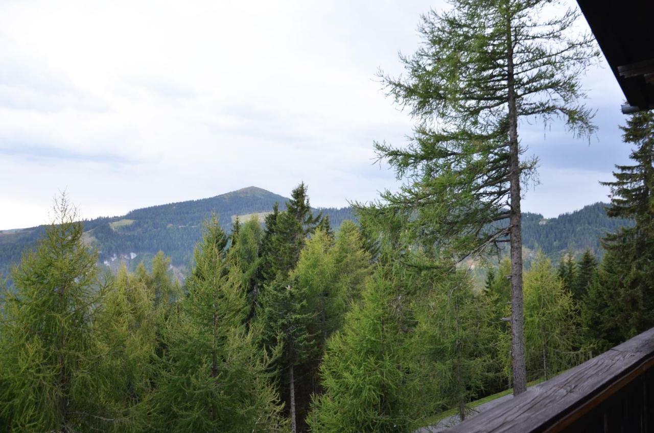 Ferienhaus Bergfee Klippitztorl Экстерьер фото