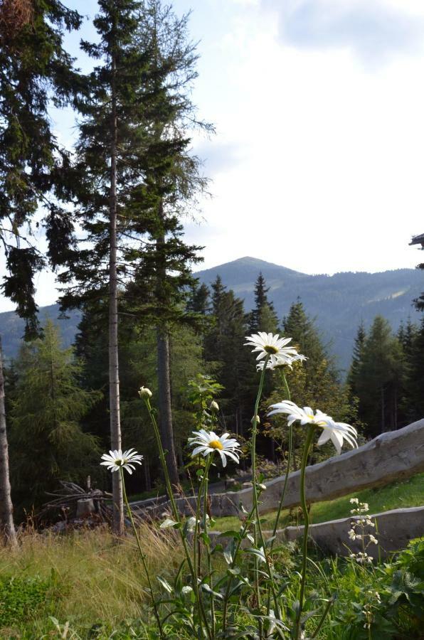 Ferienhaus Bergfee Klippitztorl Экстерьер фото