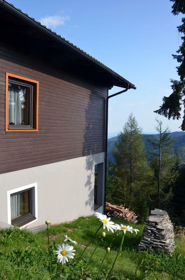Ferienhaus Bergfee Klippitztorl Экстерьер фото